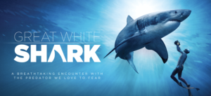 Great White Shark IMAX @ MOST