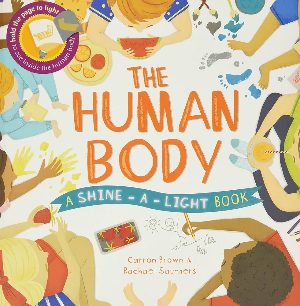 STEM Story Time—The Human Body